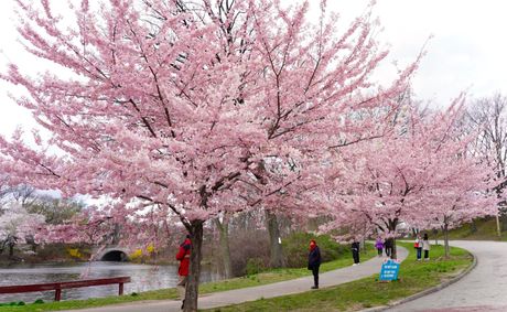 10 perfect relaxation spots to visit in Newark this summer