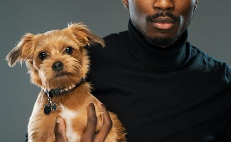 Tips for Short-Term Rentals and Accomodations for Pet Parents
