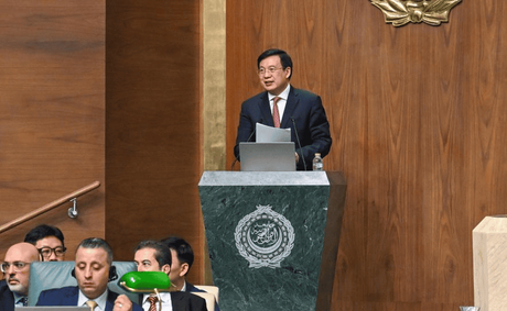 Global South Media and Think Tank Forum Chinese-Arab Partnership Conference Opens in Cairo