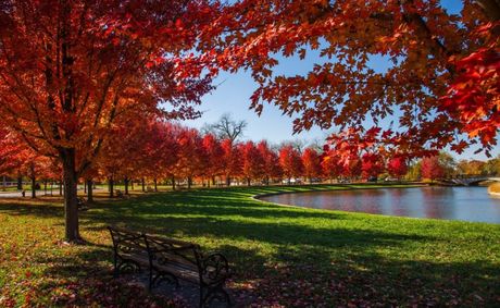 U.S. best city park is not Central Park — it’s this one