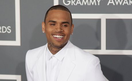 Chris Brown wins key ruling in $90M dog bite trial