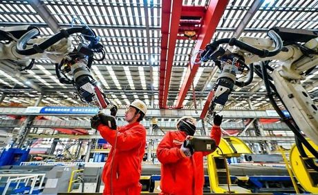 Jointly Advancing Sound, Safe, Orderly AI Development for Human Well-Being