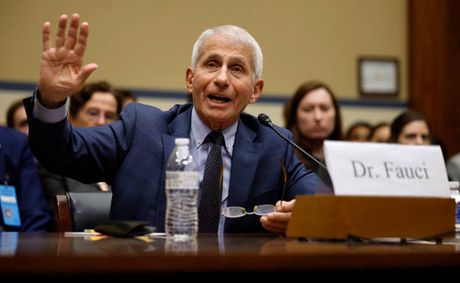 Anthony Fauci Was Right to Invoke the Fifth Against Rand Paul’s Perjury Trap.