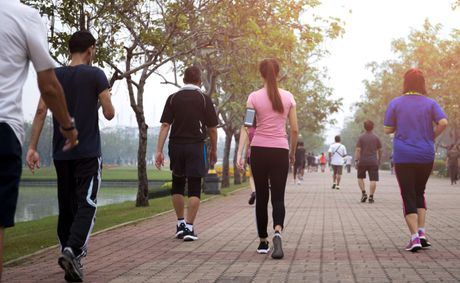 What Walking Actually Does to Your Body and Mind
