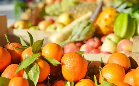 Egypt’s Agricultural Exports Surpass 5.8 Million Tonnes as Citrus, Potatoes and Grapes Lead Record Growth