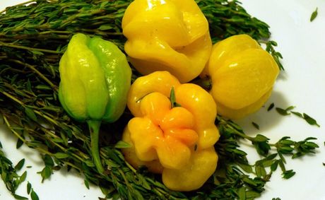 A Scotch Bonnet Pepper Shortage Has The Caribbean Hot Sauce Industry In A Chokehold