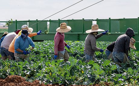State’s economy runs on labor Trump wants to deport