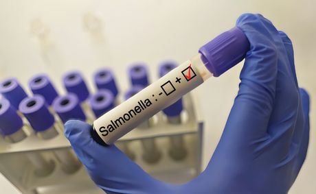 Salmonella outbreak tied to jalapeños hits 27 states