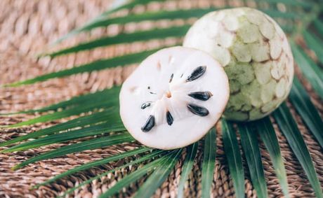 Soursop Fruit: A Diaspora of Flavor