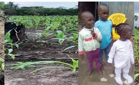 Why I Started My Non Profit-Kendra’s Korner to Help Women Farmers in Liberia West Africa