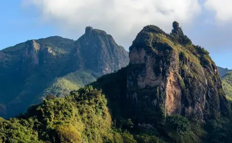 Ethiopia’s 106 Protected Areas Trial Digital Wildlife Monitoring System