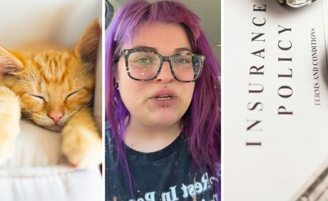 Woman’s cat passes away. Then she tries to cancel her cat’s health insurance plan with Banfield: ‘You have to buy your way out’