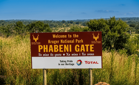 Tragedy at Kruger: Canadian Visitor Dies After Alleged Accidental Firearm Discharge