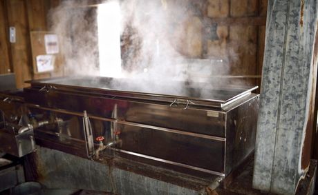 Is maple syrup healthier than sugar or a sweet illusion?