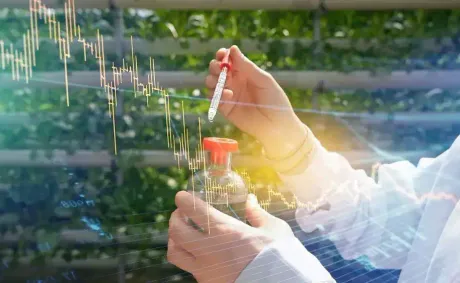 Fertilisers and Agrochemicals: Supply Chains and Trade Within BRICS