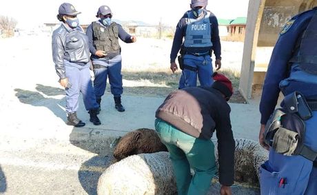 ATM Urges President Cyril Ramaphosa To Establish Eastern Cape Stock Theft Task Team After Corruption Claims