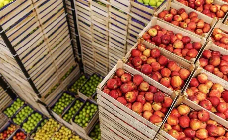 Russia’s Agricultural Exports to Africa Rise by 35% in Value in First Half of 2026