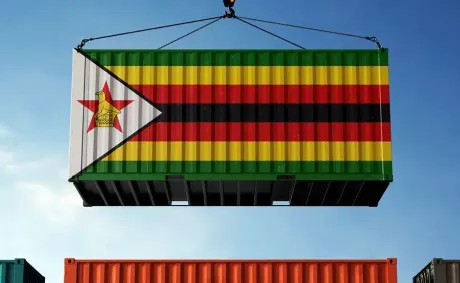 Zimbabwe Records 42% Growth in Exports as Value-Added Production Expands