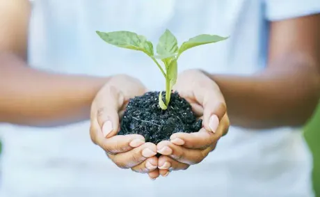 Ethiopians Aim to Plant 800 Million Trees in Single Day