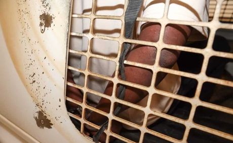 Seven Arrested Over Deadly Mob Attack on Man Accused of Theft in Free State