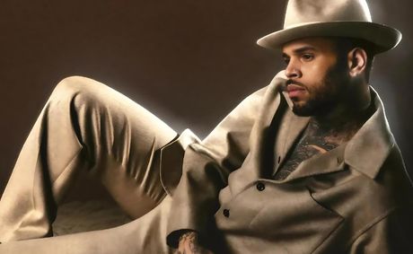 Chris Brown Ordered to Pay Nearly $13 Million After Jury Finds Him Liable in Housekeeper Dog Attack