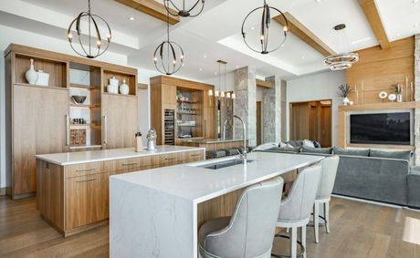 Why designers are obsessed with this home design
