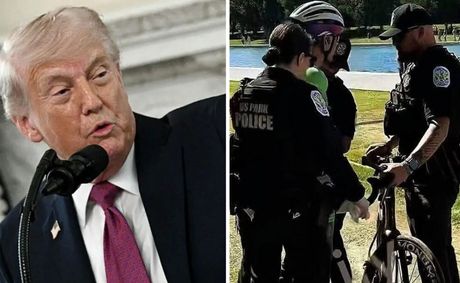 ‘He Did This’: Trump Blames Sabotage After Reflecting Pool Chaos Lands a Former Olympian In Handcuffs — But Critics Say He’s Missing One Thing