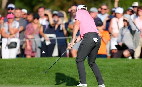FedEx St. Jude Championship Payout Sparks Playoff Frenzy
