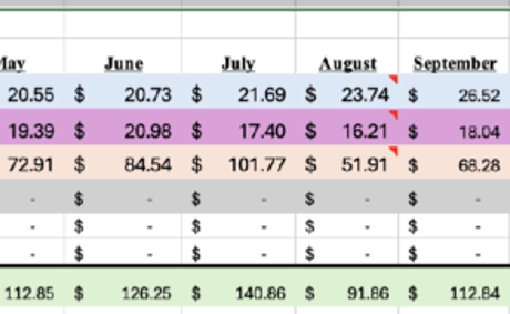 Cashflow Coach: I Planted a Money Tree!