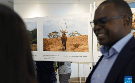 Photo Exhibition Highlights China-Kenya Cooperation in Biodiversity Conservation