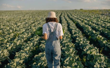 Black Farmers File Lawsuit Against USDA Over $127M In Cancelled Grants