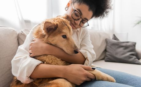 9 scientific reasons owning a dog extends your life