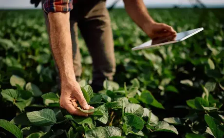 Agricultural Technologies of Future: Automation of Agriculture in Global South