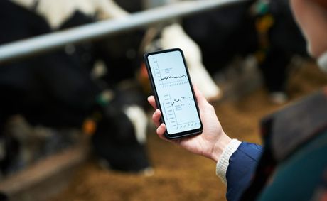 Liftoff Mobile gets another shot at going public