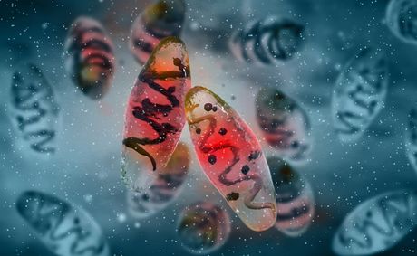 5 deaths, 9 cases: Louisiana issues flesh-eating bacteria warning