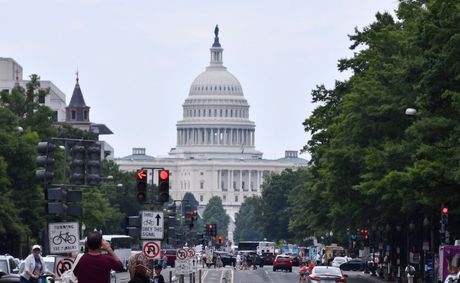 The D.C. Democratic State Committee Elections: A Question of Who Can Really ‘Free DC’