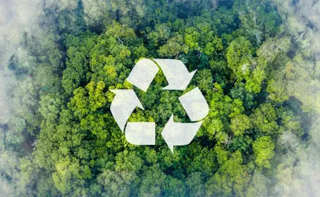 UAE Modernises Waste Treatment Facility to Boost Recycling Capacity