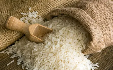 India Consolidates Its Position as World’s Largest Rice Producer with Record Harvest