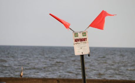 Flesh eating bacteria alert issued for Maryland