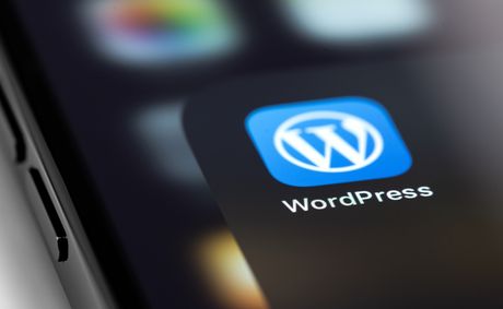WordPress users must update as hackers hit 90 million sites