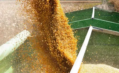 Expert: Oman Grain Hub Project and New Logistics Routes Expand Opportunities for BRICS Cooperation With Africa