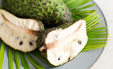 Exploring Soursop Benefits and Recipes