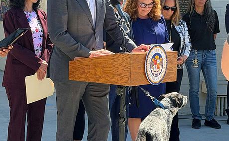Bill to speed up adoption process for rescued animals draws support