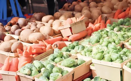 D.C.’s Urban Farms Offer Natural Defense Against Air Pollution