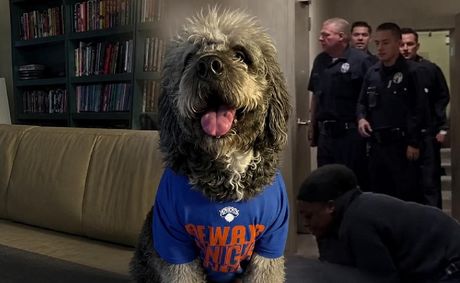 National Action Network Demands LAPD Release Footage After Family Dog Is Fatally Shot | VIDEO