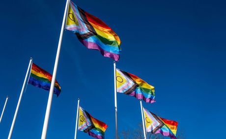Check out these great events during Pride Month