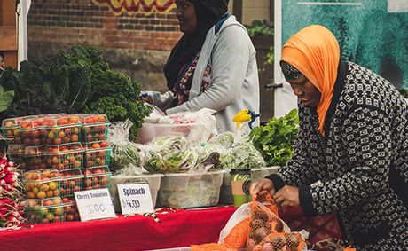 SNAP cuts threaten food security in vulnerable communities