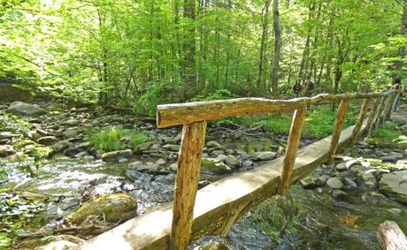 Girl Scout Island – One of Many Great Smoky Mountains’ Treasures