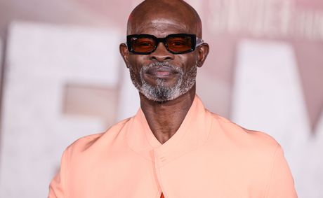 Djimon Hounsou’s Earnings Revealed After Declaring: ‘I’m Struggling to Make a Living’