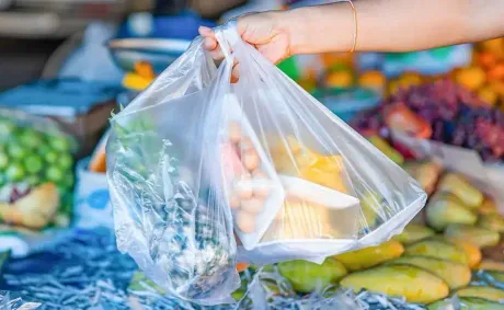 Tunisia Proposes Ban on Single-Use Plastic Bags